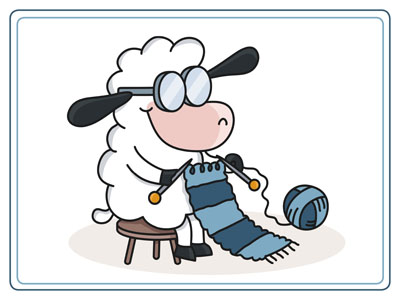 sheep-to-shawl